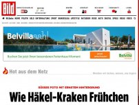 Bild zum Artikel: Die beste Medizin - Wie Häkel-Kraken Frühchen helfen