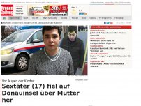 Bild zum Artikel: Sextäter (17) fiel auf Donauinsel über Mutter her