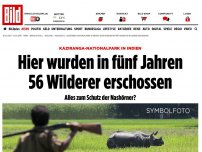 Bild zum Artikel: Kaziranga National Park - Hier wurden in fünf Jahren 56 Wilderer erschossen