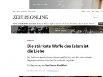 Bild zum Artikel: Sufismus: Die stärkste Waffe des Islam ist die Liebe