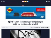 Bild zum Artikel: Spinne vom Staubsauger eingesaugt: Lebt sie weiter oder nicht?
