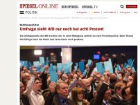 Bild zum Artikel: Rechtspopulisten: Umfrage sieht AfD nur noch bei acht Prozent