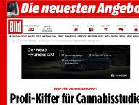 Bild zum Artikel: High für die Wissenschaft - Profi-Kiffer für Cannabisstudie gesucht!