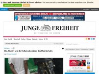 Bild zum Artikel: Die „Nafris“ und die Kollateralschäden des Machterhalts