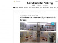 Bild zum Artikel: Island startet neue Reality-Show - mit Katzen