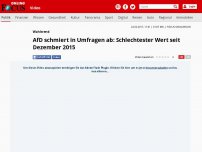 Bild zum Artikel: Wahltrend - AfD schmiert in Umfragen ab: Schlechtester Wert seit Dezember 2015