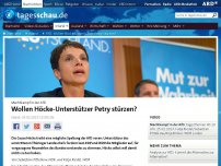 Bild zum Artikel: AfD: Wollen Höcke-Unterstützer Petry stürzen?