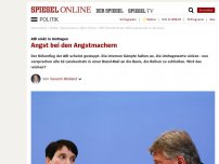 Bild zum Artikel: AfD sinkt in Umfragen: Angst bei den Angstmachern