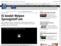 Bild zum Artikel: Kampf um Mosul: IS bindet Welpen Sprengstoff um