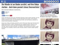 Bild zum Artikel: Die Hündin ist am Boden zerstört, weil ihre Babys starben - doch dann passiert etwas Unerwartetes!