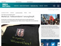 Bild zum Artikel: Fastnachtsumzug in Bad Bergzabern: Merkel als 'Volksverräterin' verunglimpft