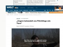 Bild zum Artikel: EU-Außengrenze: 'Ungarn behandelt uns Flüchtlinge wie Tiere'