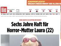 Bild zum Artikel: Zwei Babys in Koffer entsorgt - Sechs Jahre Haft für die Horror-Mutter