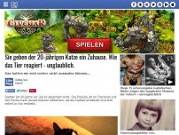 Bild zum Artikel: Sie geben der 20-jährigen Katze ein Zuhause. Wie das Tier reagiert - unglaublich.