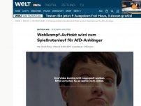 Bild zum Artikel: Schleswig-Holstein: Wahlkampf-Auftakt wird zum Spießrutenlaufen für AfD-Anhänger