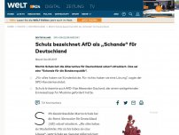 Bild zum Artikel: SPD-Kanzlerkandiat: Schulz bezeichnet AfD als 'Schande' für Deutschland