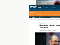 Bild zum Artikel: Kurioses Video aufgetaucht: Hier fordert Schulz fordert seine Anhänger zum Jubeln auf