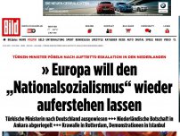 Bild zum Artikel: Sie wollte nach Rotterdam - Auto von türkischer Ministerin gestoppt