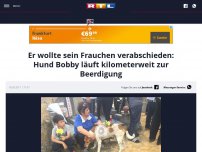 Bild zum Artikel: Er wollte sein Frauchen verabschieden: Hund Bobby läuft kilometerweit zur Beerdigung