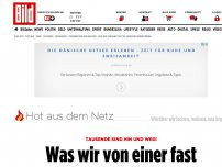 Bild zum Artikel: Tausende sind hin und weg! - Was wir von einer fast 102-Jährigen lernen können