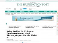 Bild zum Artikel: Keine Waffen für Erdogan - Bundesregierung lehnt Rüstungsexporte in die Türkei ab