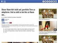 Bild zum Artikel: Dieser Mann hört nicht auf, gerettete Tiere zu adoptieren. Und so sieht es bei ihm zu Hause aus…