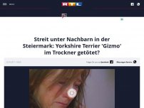 Bild zum Artikel: Streit unter Nachbarn in der Steiermark: Yorkshire Terrier 'Gizmo' im Trockner getötet?