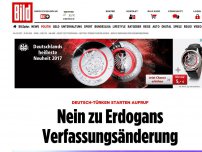 Bild zum Artikel: Aufruf der Deutsch-Türken - Nein zu Erdogans Verfassungsänderung