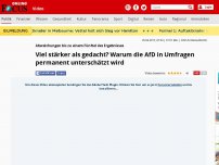 Bild zum Artikel: Abweichungen bis zu einem Fünftel des Ergebnisses - Viel stärker als gedacht? Warum die AfD in Umfragen permanent unterschätzt wird