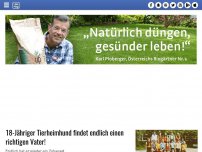 Bild zum Artikel: 18-Jähriger Tierheimhund findet endlich einen richtigen Vater!