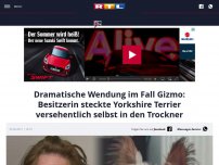 Bild zum Artikel: Dramatische Wendung im Fall Gizmo: Besitzerin steckte Yorkshire Terrier versehentlich selbst in den Trockner