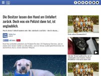 Bild zum Artikel: Die Besitzer lassen den Hund am Unfallort zurück. Doch was ein Polizist dann tut, ist unglaublich.