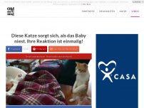 Bild zum Artikel: Diese Katze sorgt sich, als das Baby niest. Ihre Reaktion ist einmalig!