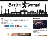 Bild zum Artikel: AfD-Politiker Fest nennt junge Migranten „Gesindel“