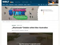 Bild zum Artikel: Australien: Wirbelsturm 'Debbie' schleudert Bullenhai an Land