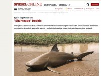 Bild zum Artikel: Zyklon trägt Hai an Land: 'Sharknado' Debbie
