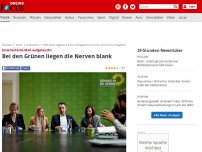 Bild zum Artikel: Interne Panik-Mail aufgetaucht - Bei den Grünen liegen die Nerven blank