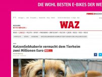 Bild zum Artikel: Katzenliebhaberin vermacht dem Tierheim zwei Millionen Euro