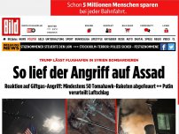 Bild zum Artikel: Trump lässt Flughafen in Syrien bombardieren - Angriff auf Assad