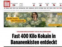 Bild zum Artikel: 84 Millionen Euro wert - 400 Kilo Kokain in Bananenkisten entdeckt