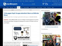 Bild zum Artikel: Tritte gegen Kopf: Gruppe attackiert Mann an Wöhrder Wiese