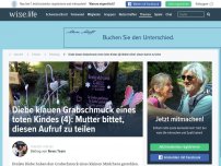 Bild zum Artikel: Diebe klauen Grabschmuck eines toten Kindes (4): Mutter bittet, diesen Aufruf zu teilen