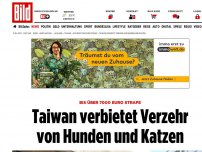 Bild zum Artikel: Über 7000 Euro Strafe - Taiwan verbietet Verzehr von Hunden und Katzen