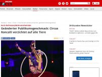 Bild zum Artikel: Auch die Dressurpferde verschwinden - Geänderter Publikumsgeschmack: Circus Roncalli verzichtet auf alle Tiere