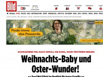 Bild zum Artikel: Schwangere im Koma - Weihnachts-Baby und Oster-Wunder für junge Familie! 