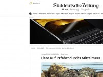 Bild zum Artikel: Tiere auf Irrfahrt durch das Mittelmeer