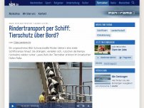 Bild zum Artikel: Rindertransport per Schiff: Tierschutz über Bord?