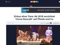 Bild zum Artikel: Zirkus ohne Tiere: Ab 2018 verzichtet 'Circus Roncalli' auf Pferde und Co.