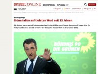 Bild zum Artikel: Sonntagsfrage: Grüne fallen auf tiefsten Wert seit 15 Jahren