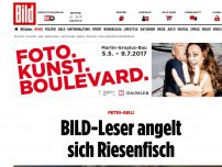 Bild zum Artikel: Petri-geil! - BILD-Leser angelt sich Riesenfisch